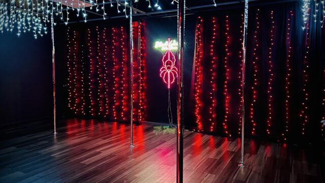 Black Widow Pole Studio