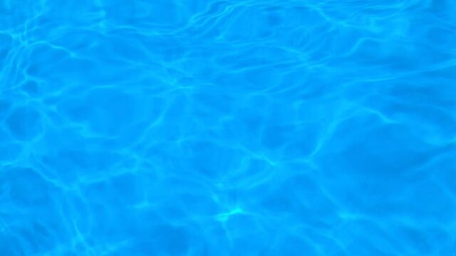 Colorado Clownfish Swim Club