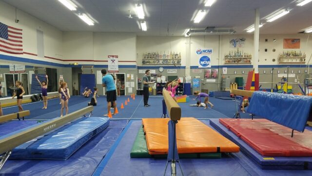 Gymnastics Plus