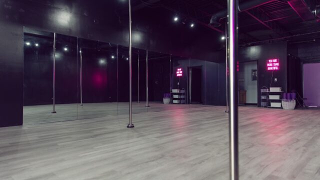 Selenite Studio Aerial Arts – South