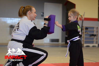 1027 impact taekwondo