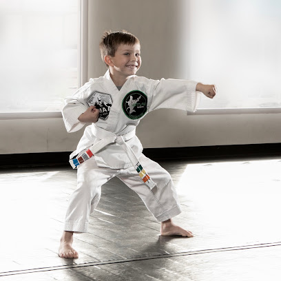 1060 venture martial arts