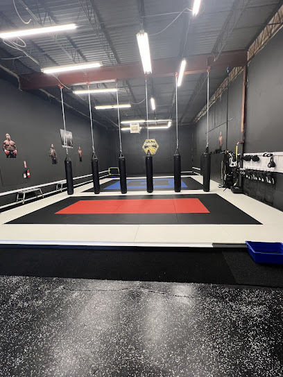 1178 colorado combative sports academy