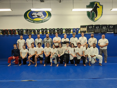 1192 zingano brazilian jiu jitsu