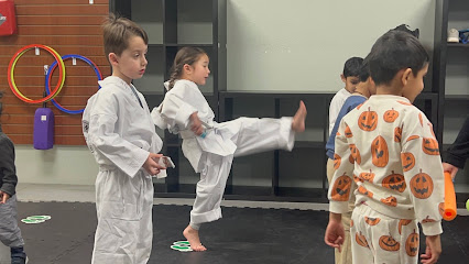 1366 han lees taekwondo academy