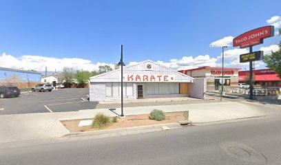 1372 bill brassettes seibu kan karate