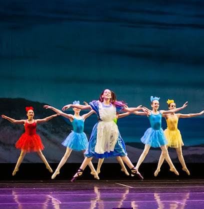 713 littleton ballet academy