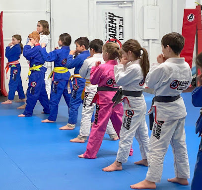 914 the academy of martial arts