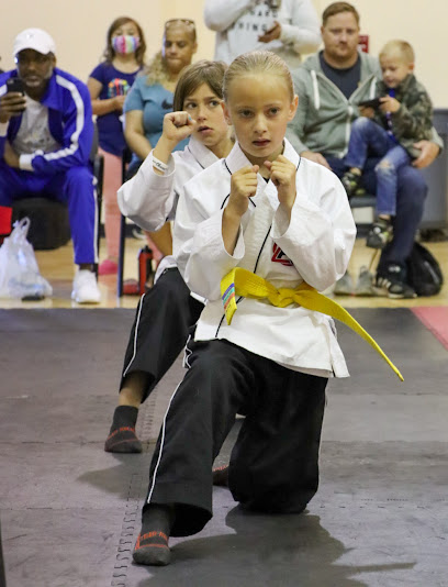 920 tiger rock martial arts 8211 fountain