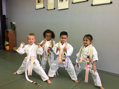 940 akka karate usa